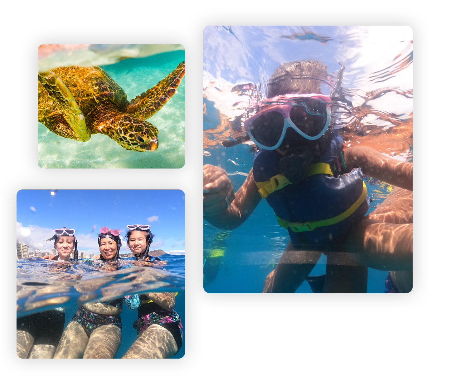 Photo collage showcasing Waikiki Snorkel Company's diverse activities, including a sunset sail and snorkeling with turtles