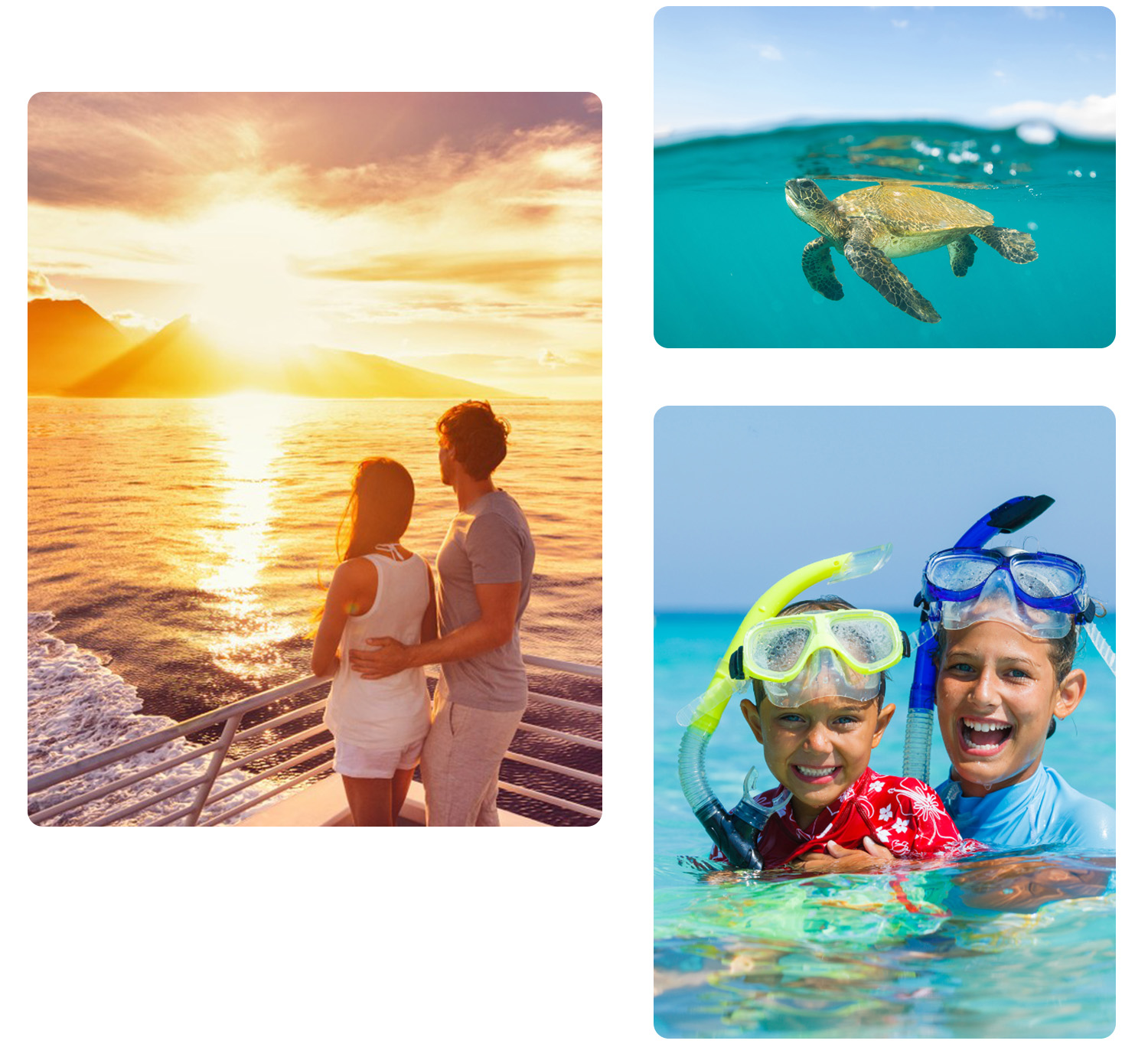 Photo collage showcasing Waikiki Snorkel Company's diverse activities, including a sunset sail and snorkeling with turtles