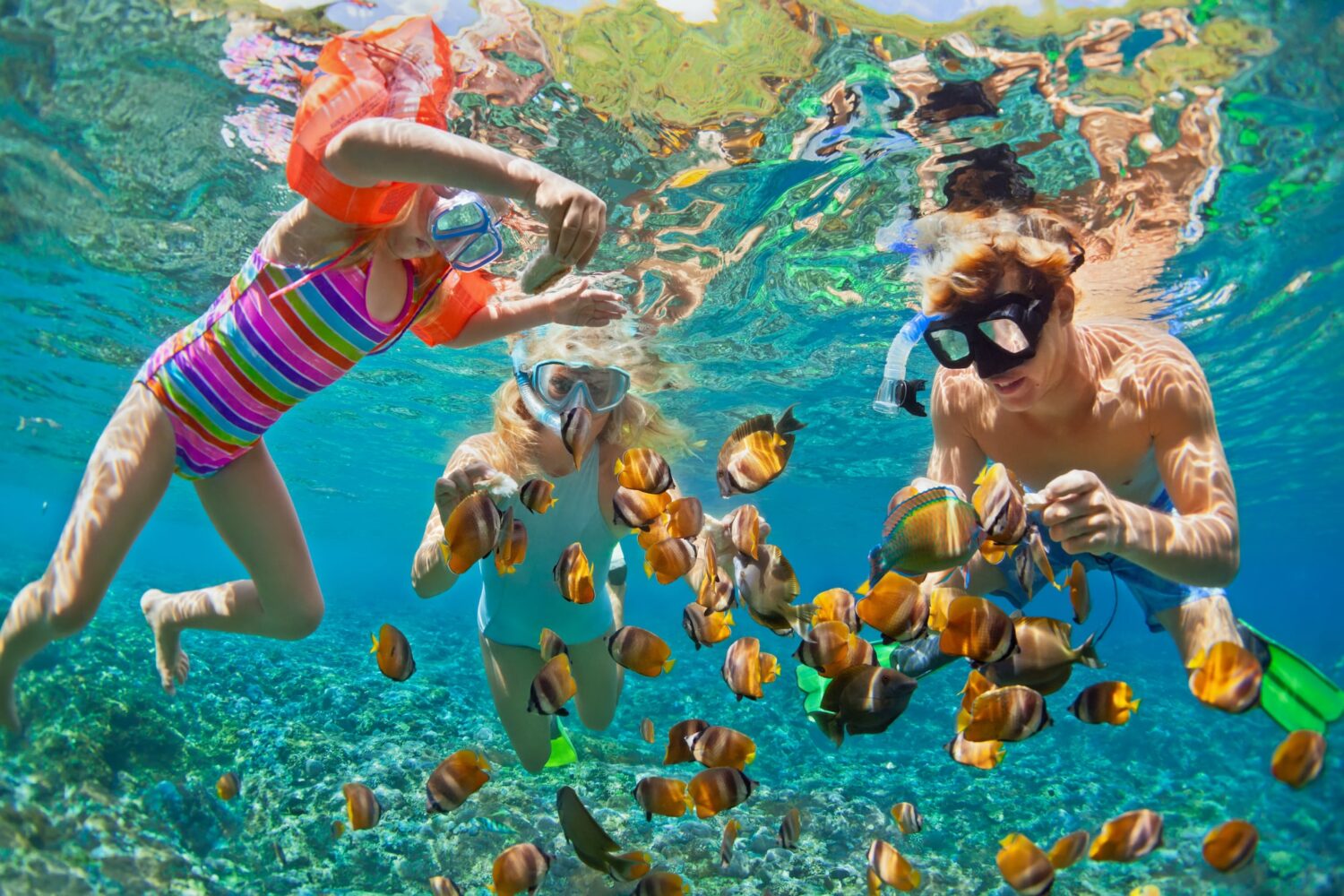 A father and two children snorkeling underwater, observing colorful fish swimming in their natural habitat.